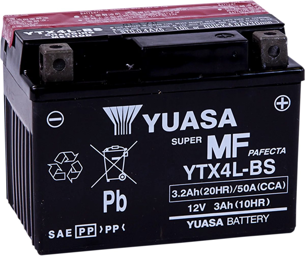 AGM Maintenance-Free Battery
