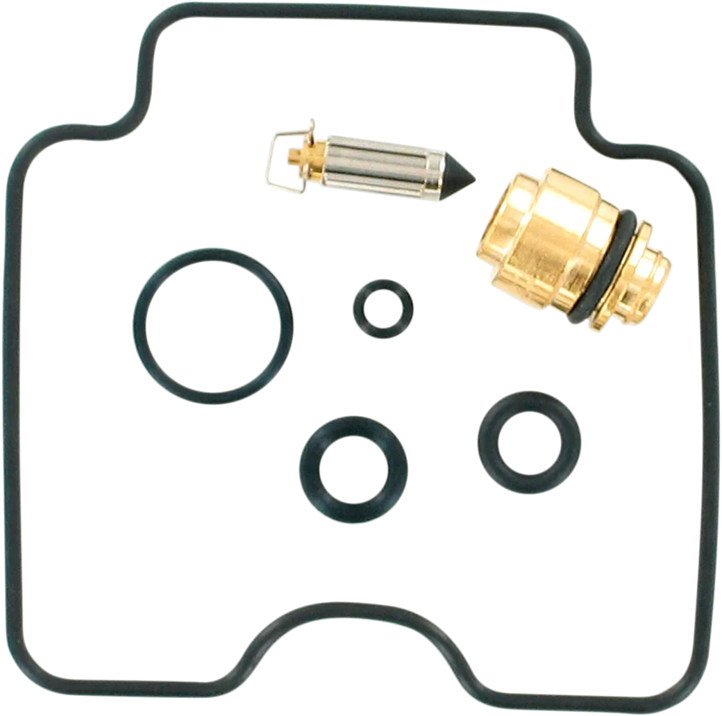 Carburetor Repair Kit