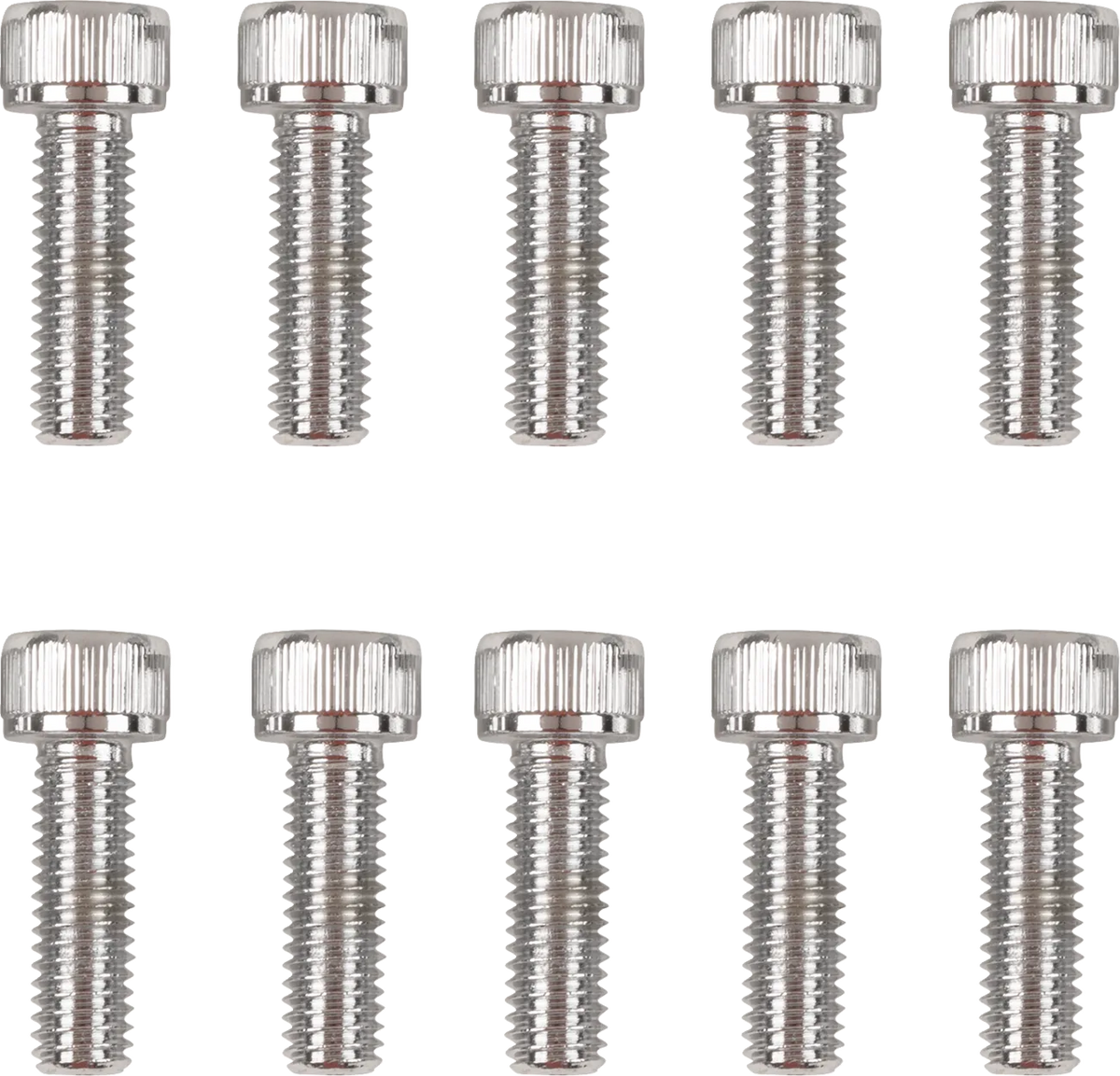 Primary Cover Only Bolt Kit