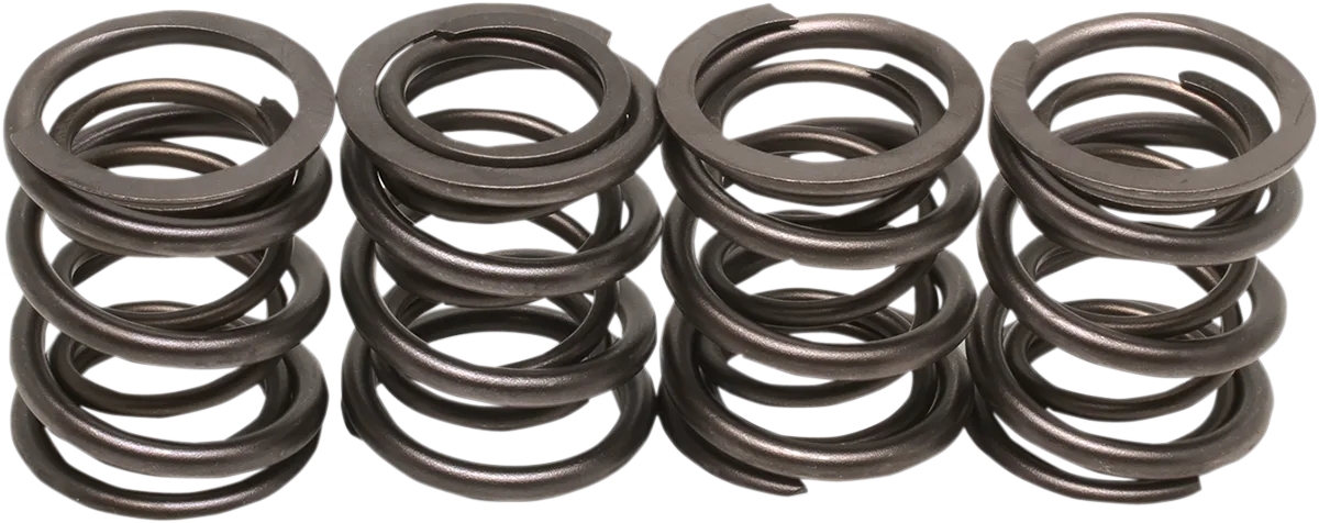 Valve Spring Kit