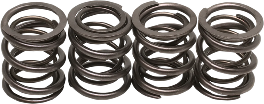 Valve Spring Kit