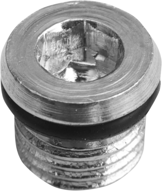 Magnetic Drain Plug