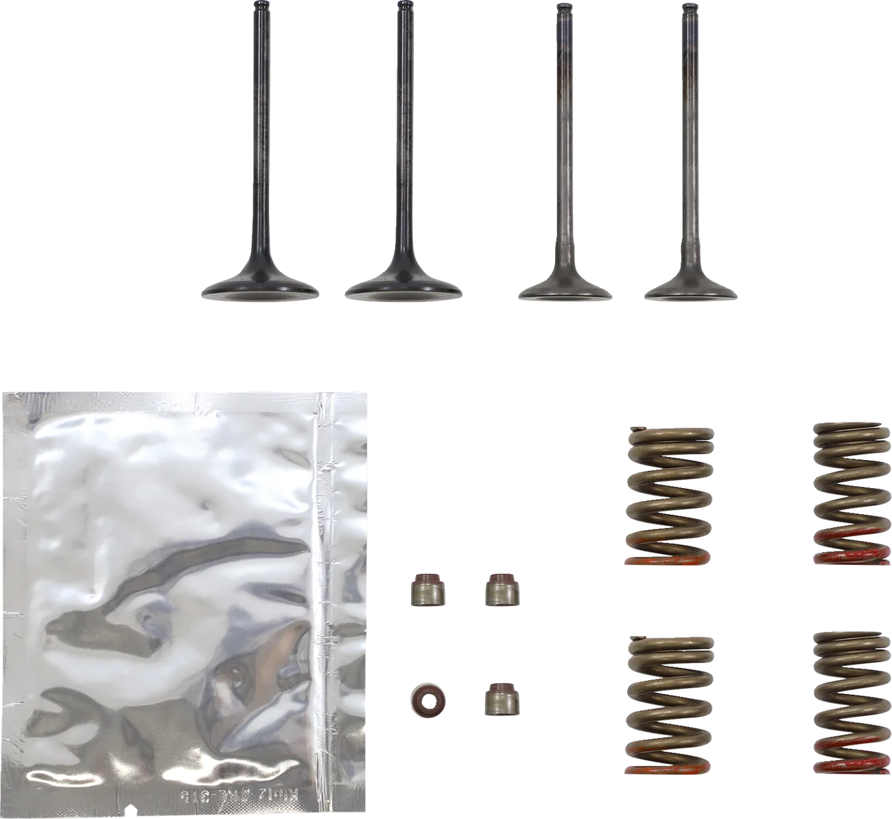Valve Kit