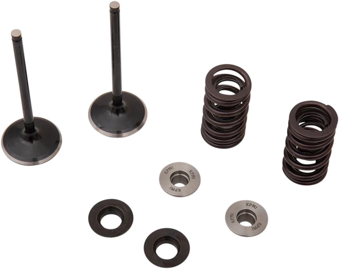 Intake Valve and Spring Kit