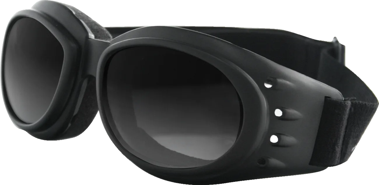 Cruiser II Goggle