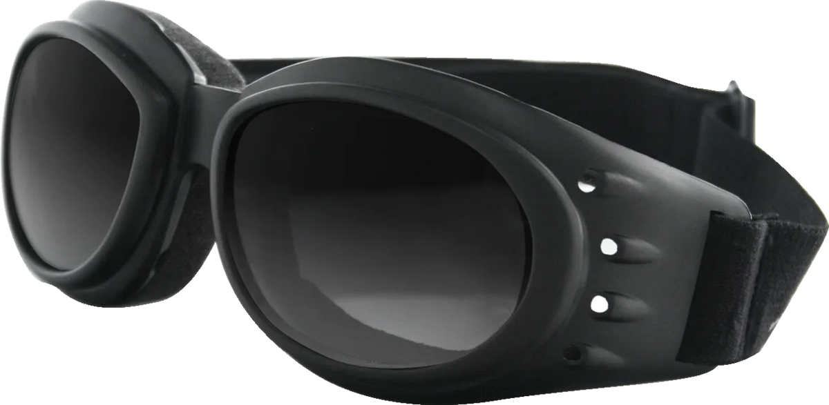 Cruiser II Goggle