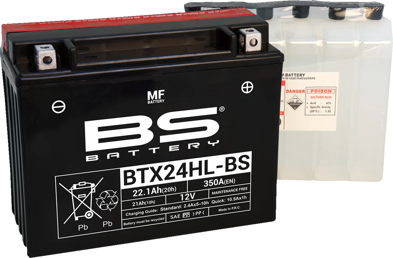 Maintenance-Free Battery