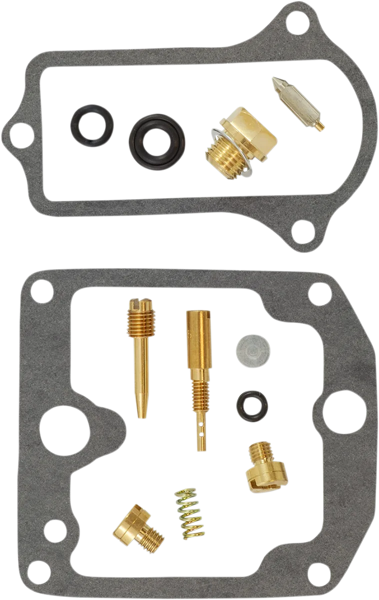Carburetor Repair Kit