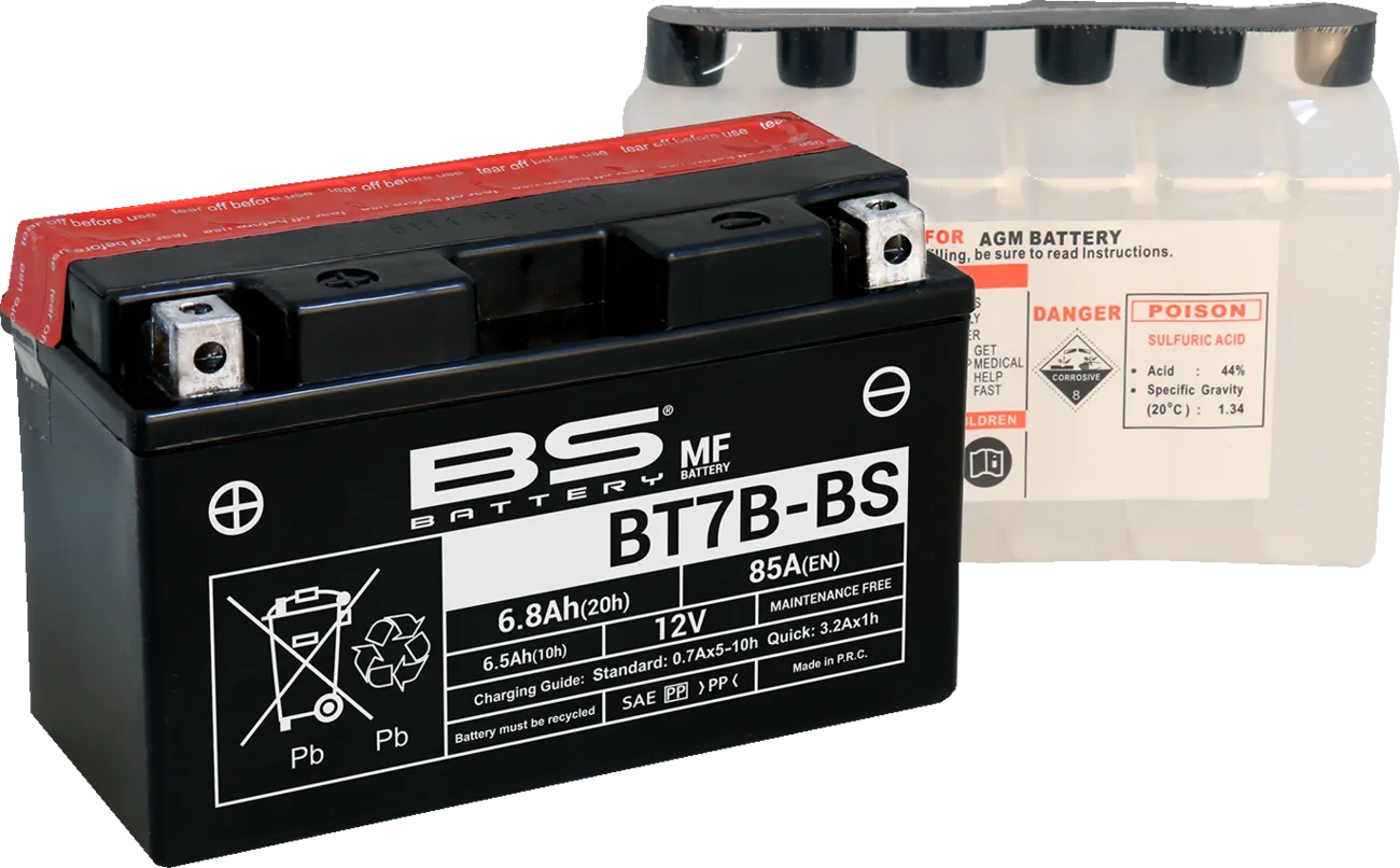 Maintenance-Free Battery