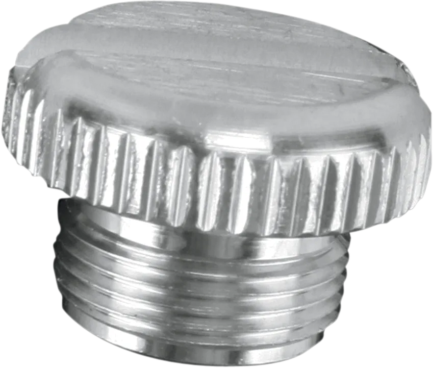Transmission Plug