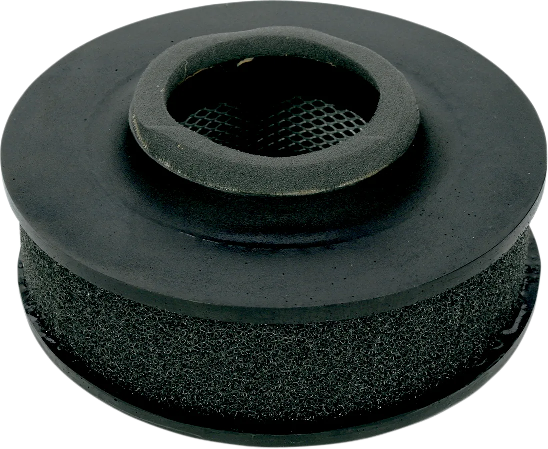 Replacement OEM Air Filter