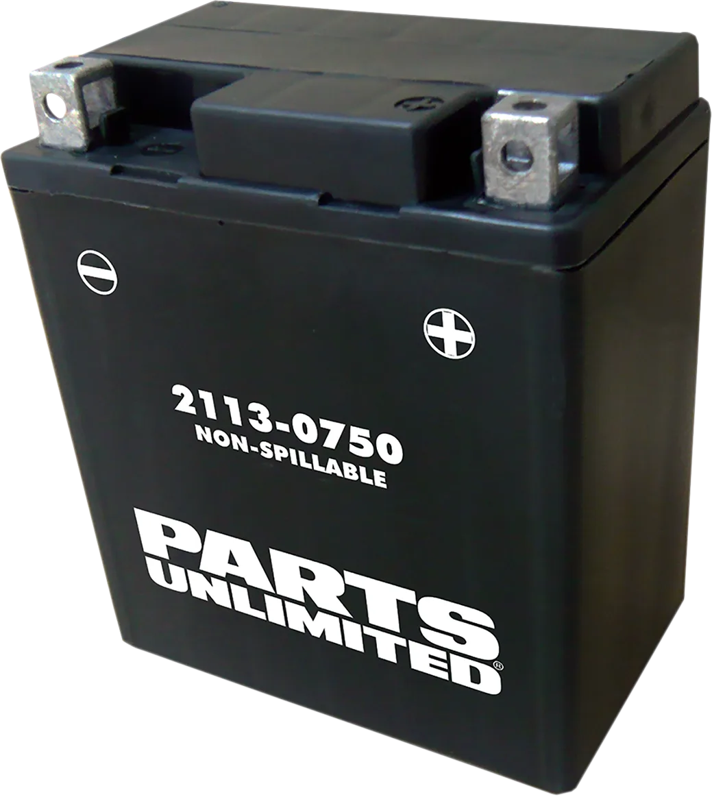 AGM Maintenance-Free Battery