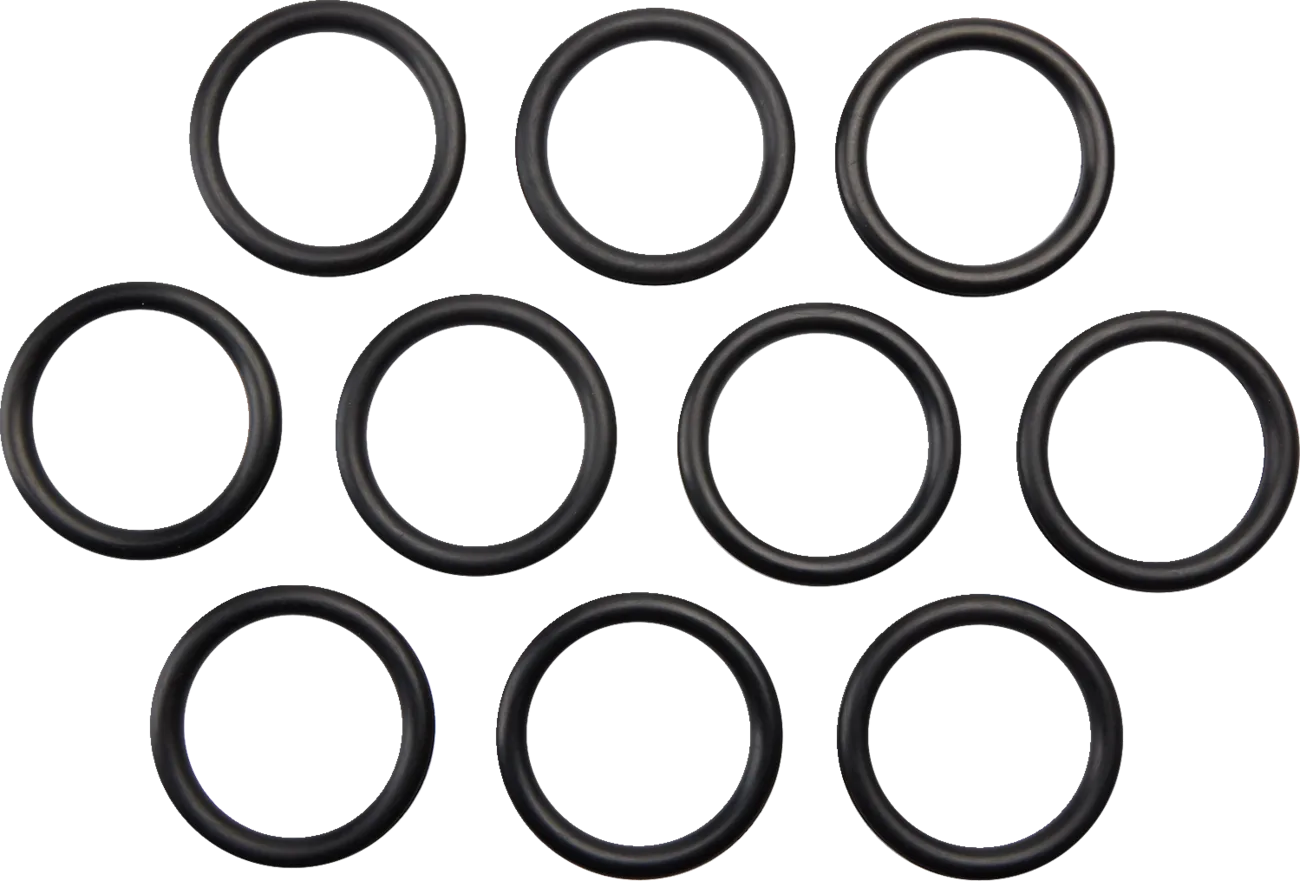 Gas Cap O-Ring