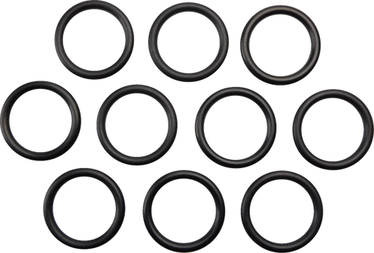 Gas Cap O-Ring