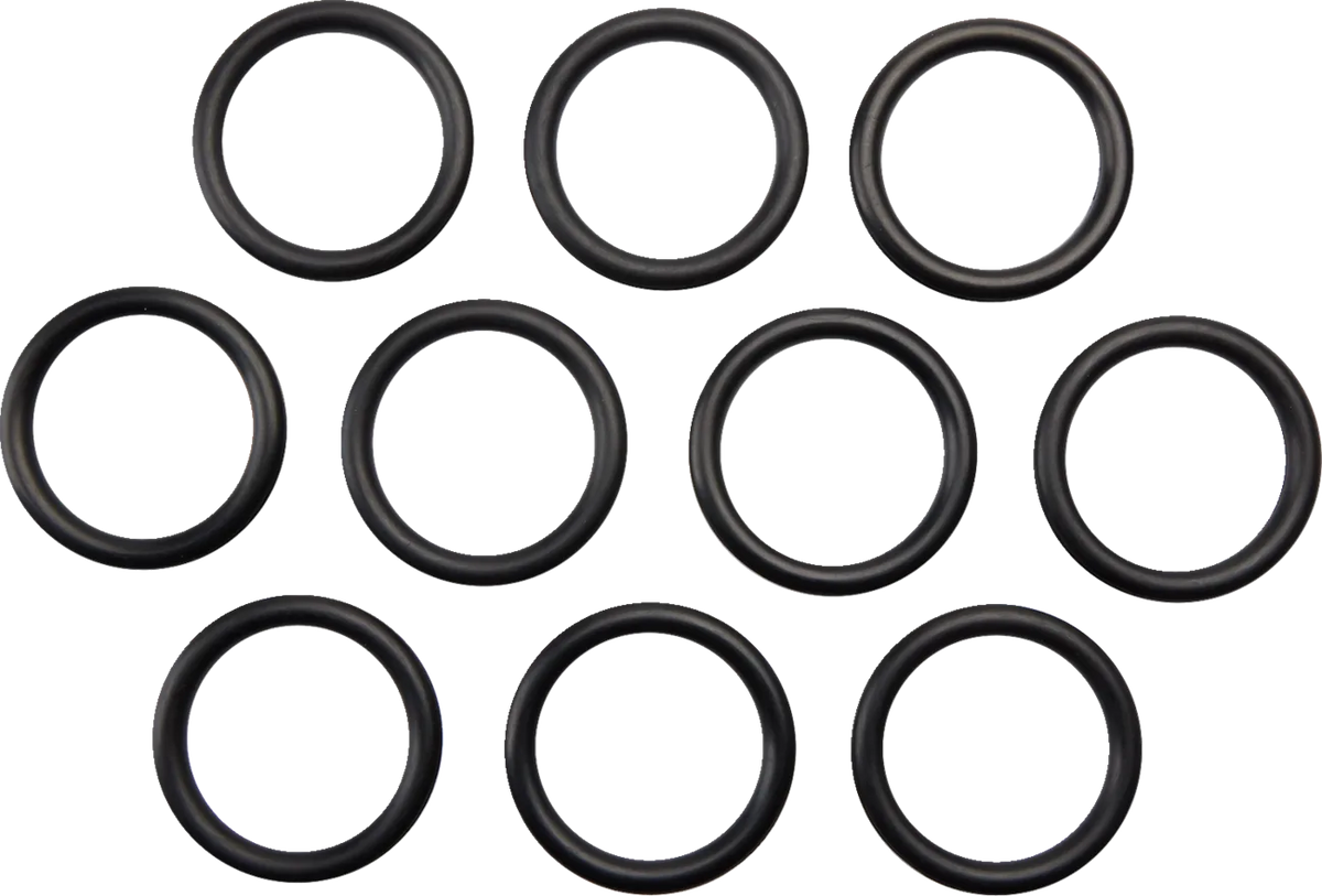 Gas Cap O-Ring