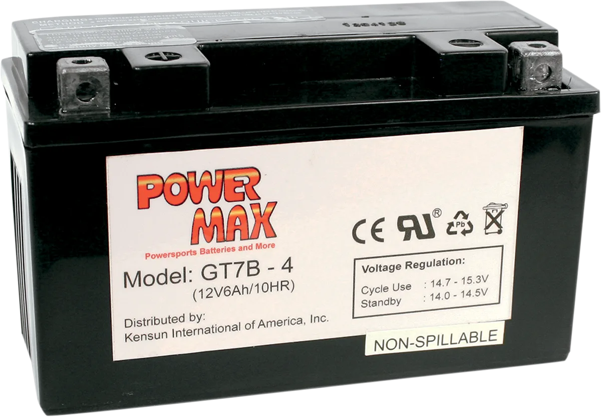 Maintenance-Free Battery