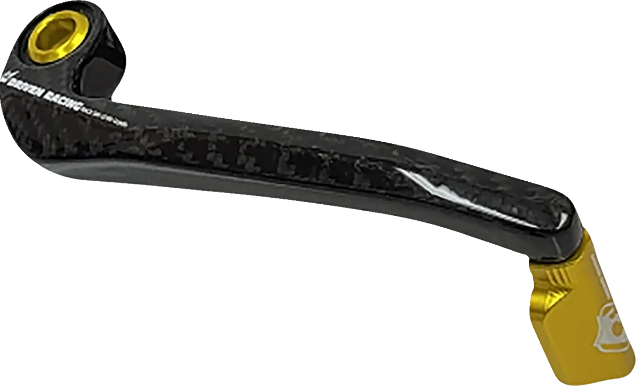 Trackday Lever Guard
