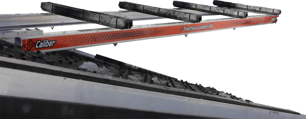 Traction Ladder