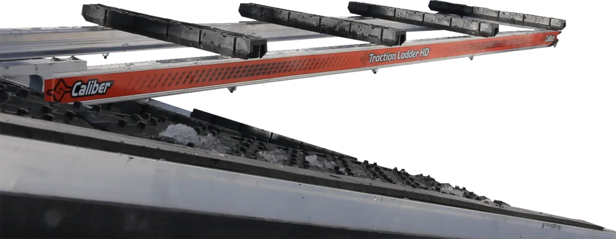 Traction Ladder
