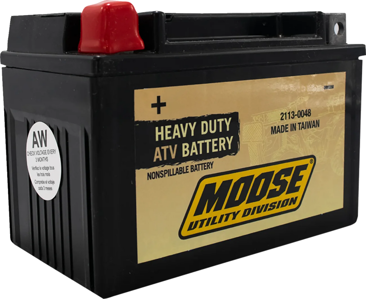 Factory-Activated AGM Maintenance-Free Battery