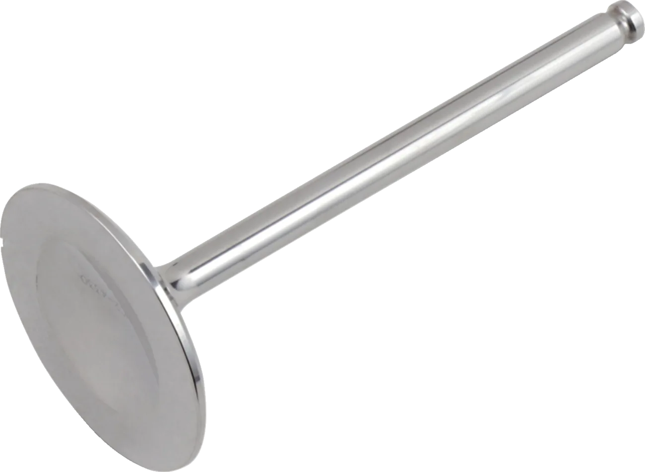 Titanium Engine Valve