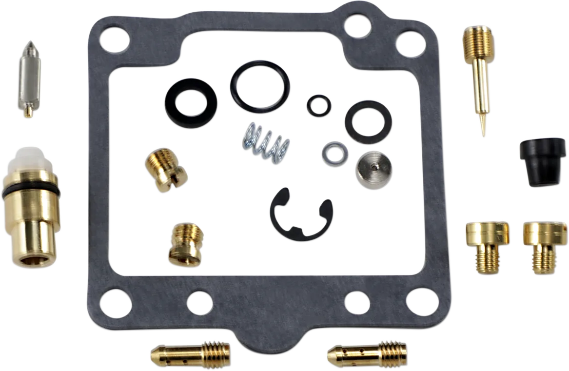 Carburetor Repair Kit