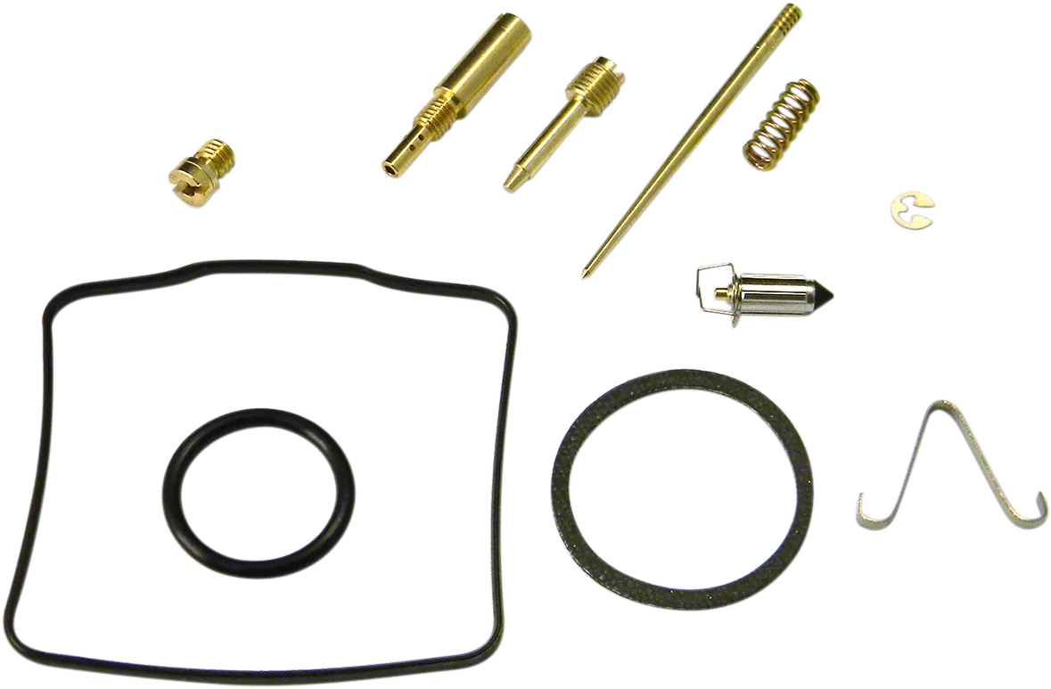 Carburetor Repair Kit