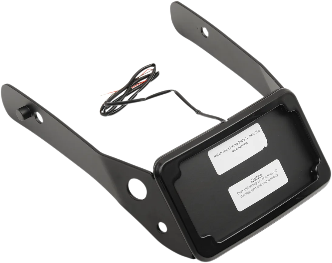 Curved License Mount with Frame