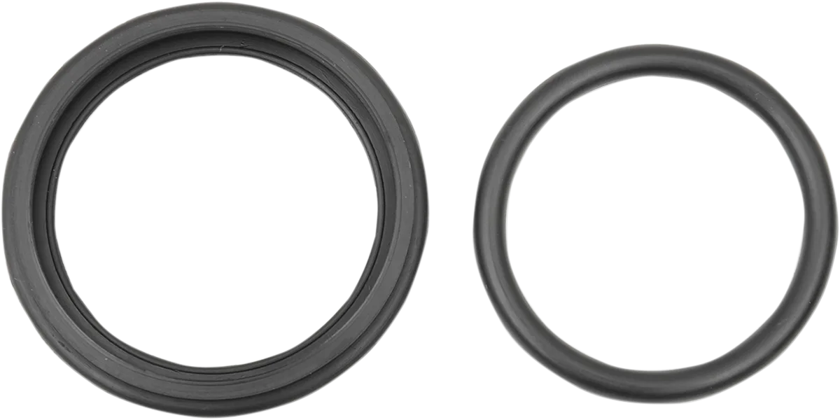 Brake Caliper Seal Kit