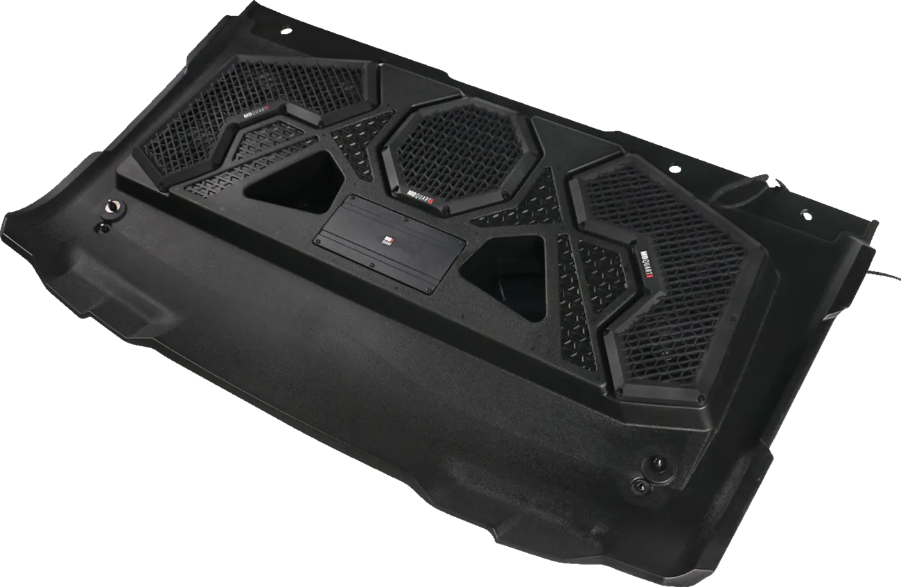 Audio Roof System