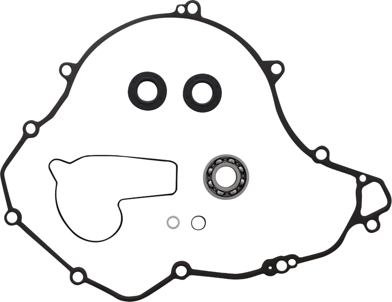 Water Pump Rebuild Kit