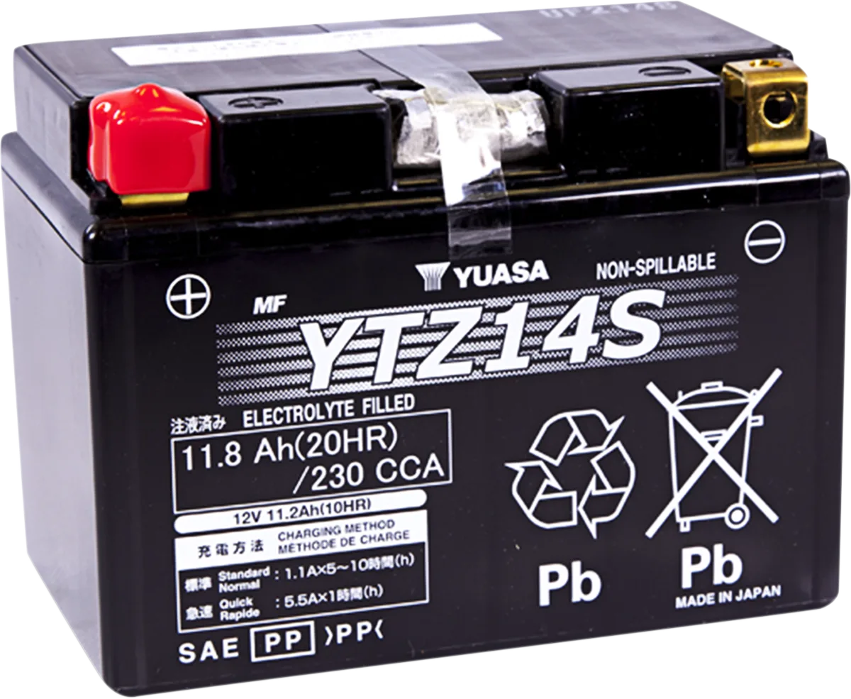 High Performance AGM Maintenance-Free Battery