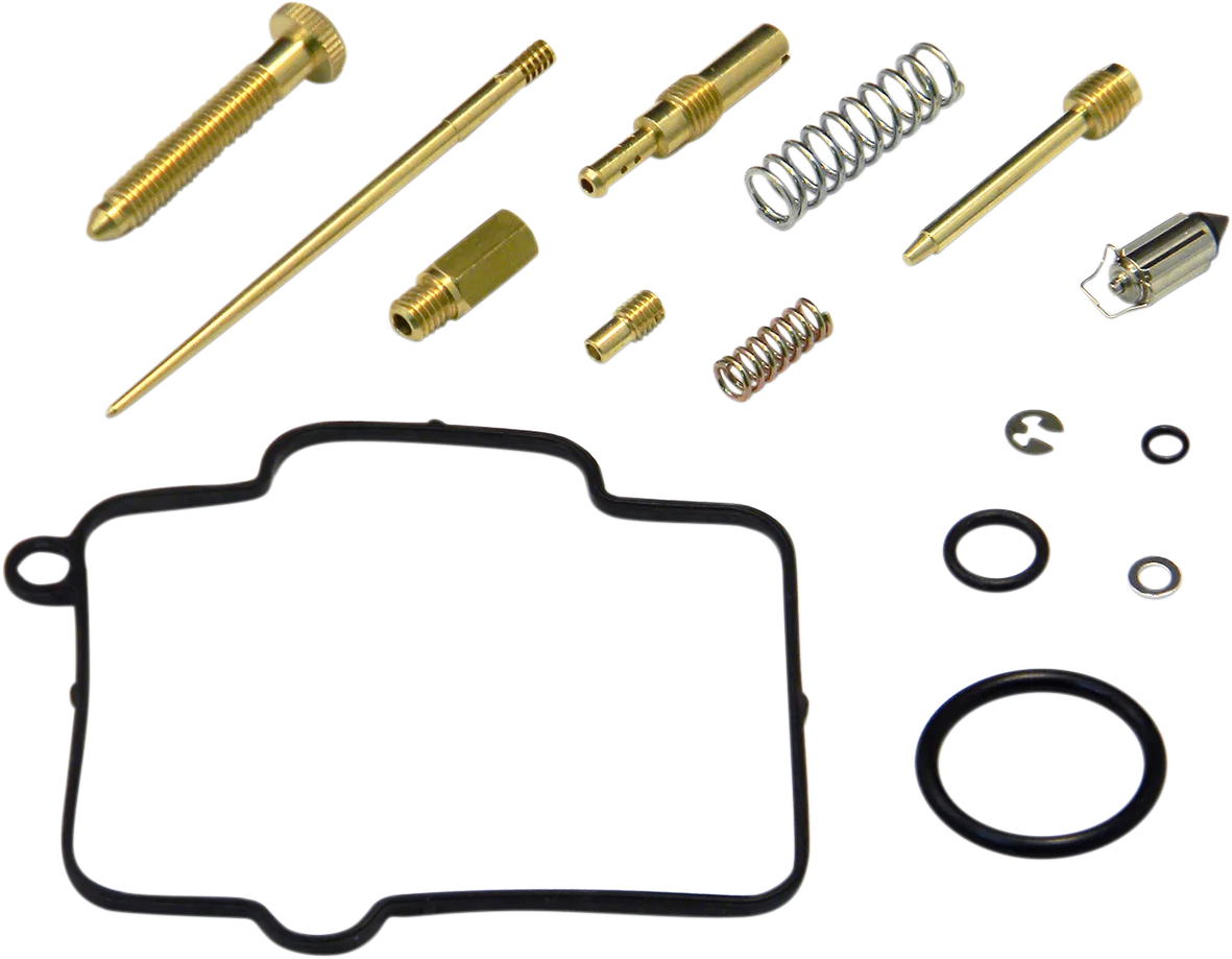 Carburetor Repair Kit