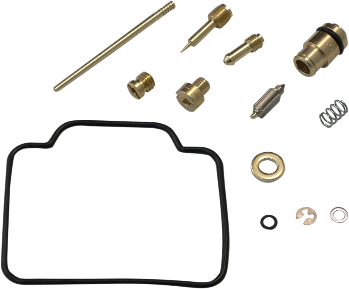 Carburetor Repair Kit