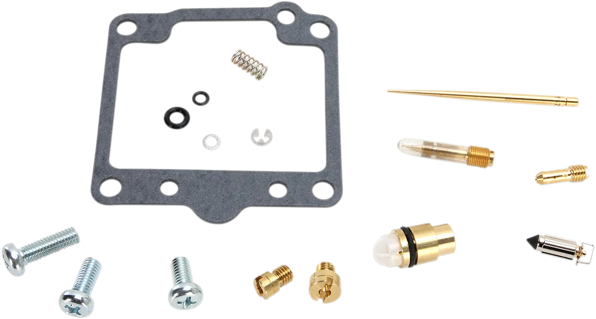 Carburetor Repair Kit