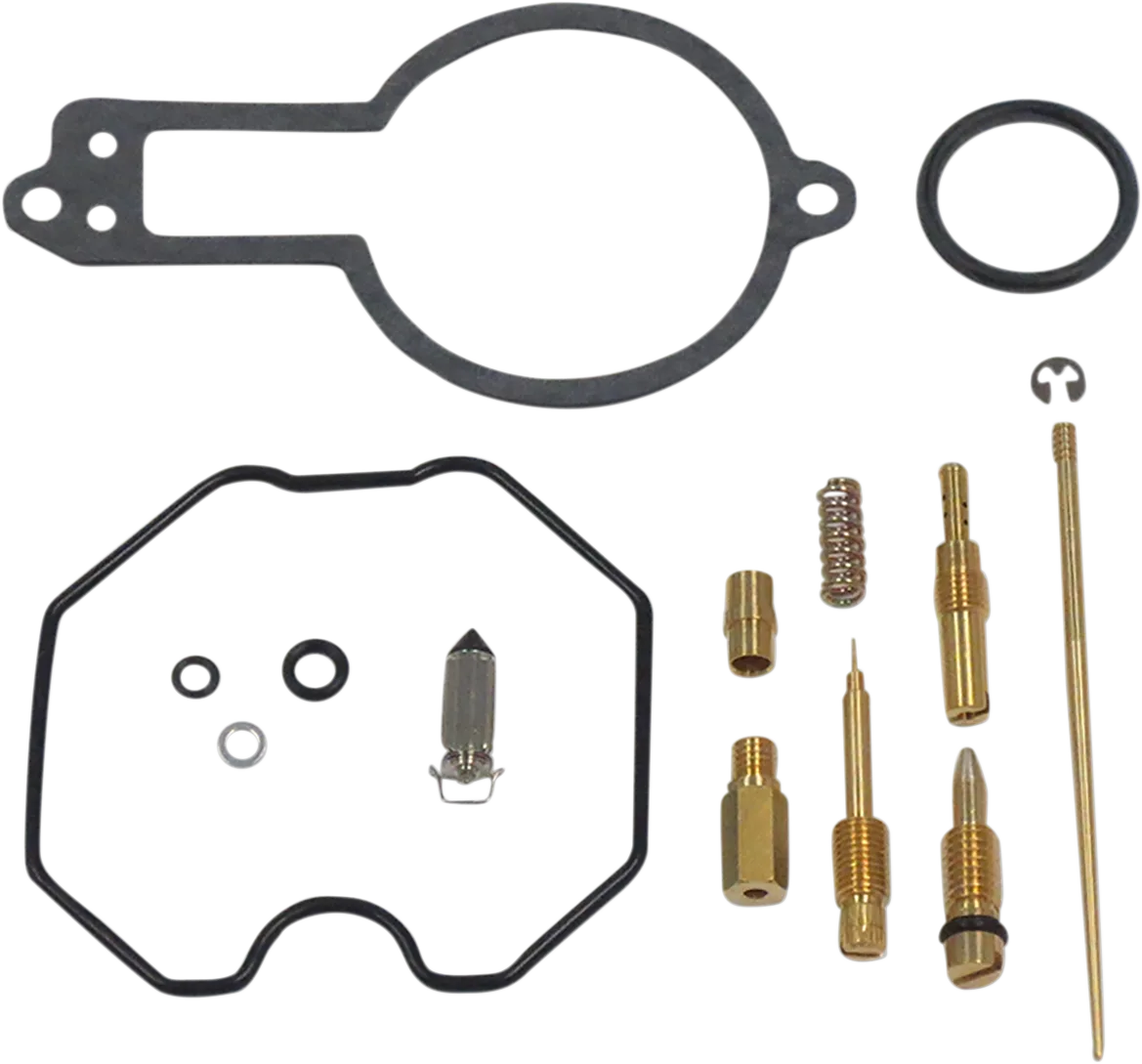Carburetor Repair Kit
