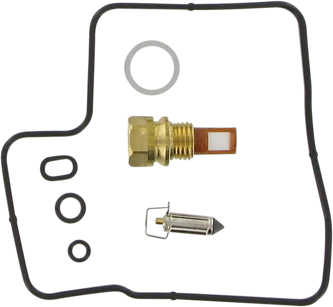 Carburetor Repair Kit