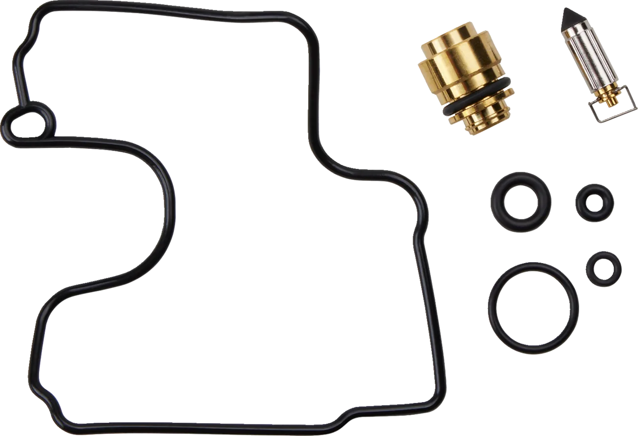 Carburetor Repair Kit