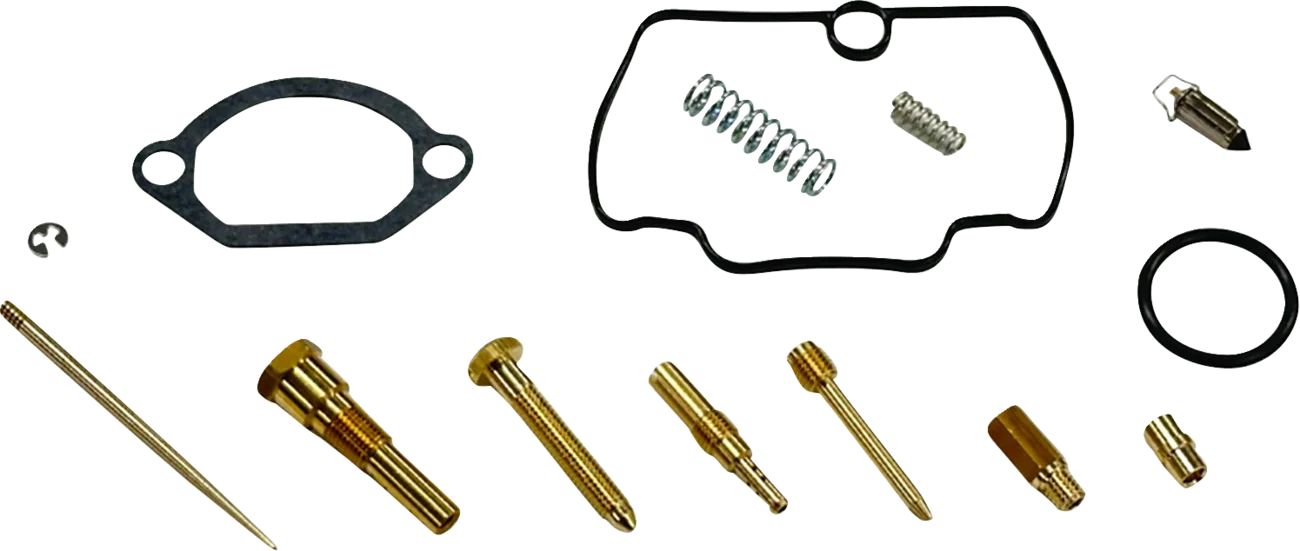 Carburetor Repair Kit