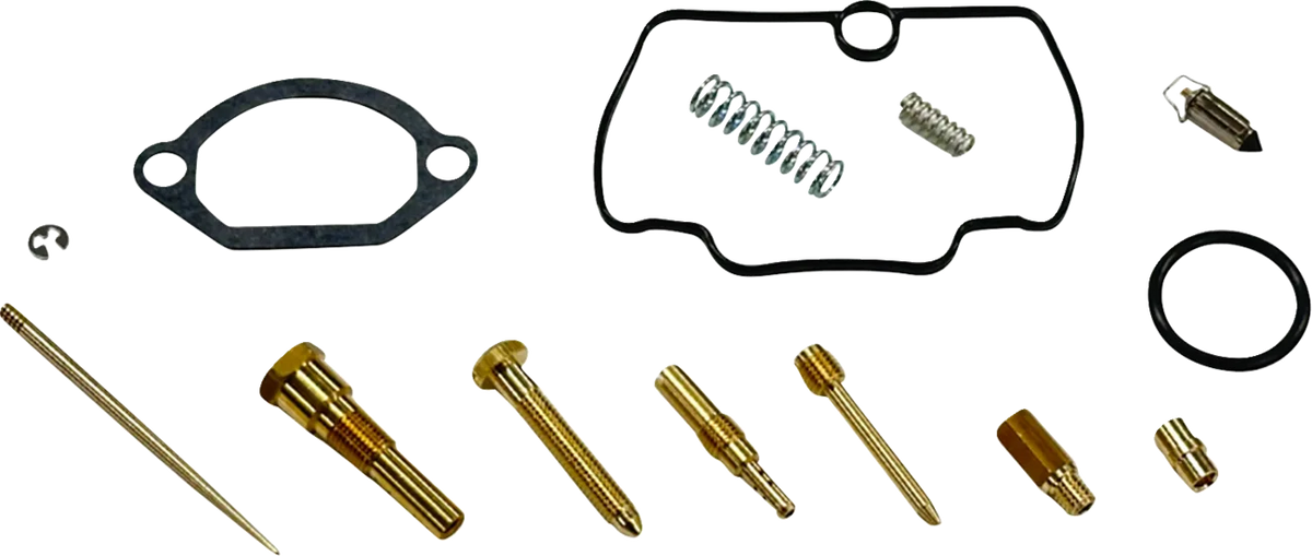 Carburetor Repair Kit