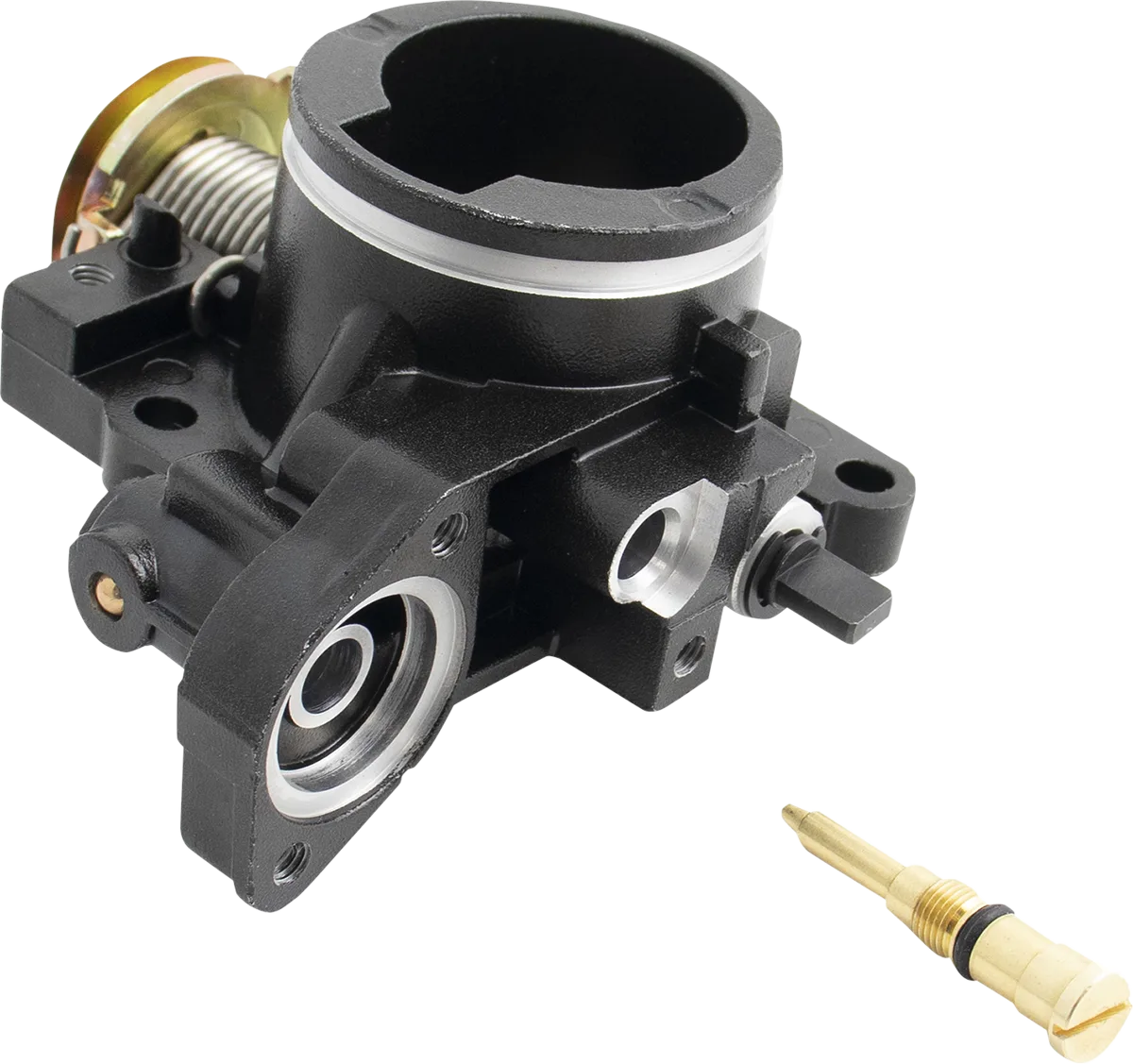 Throttle Body Screw