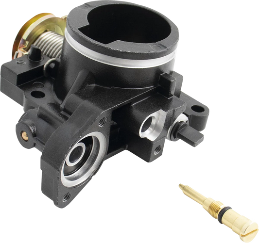 Throttle Body Screw