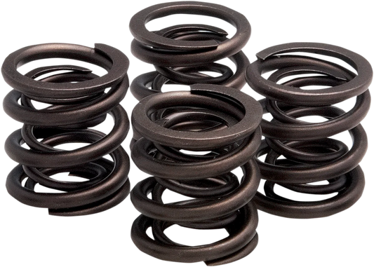 Valve Spring Kit