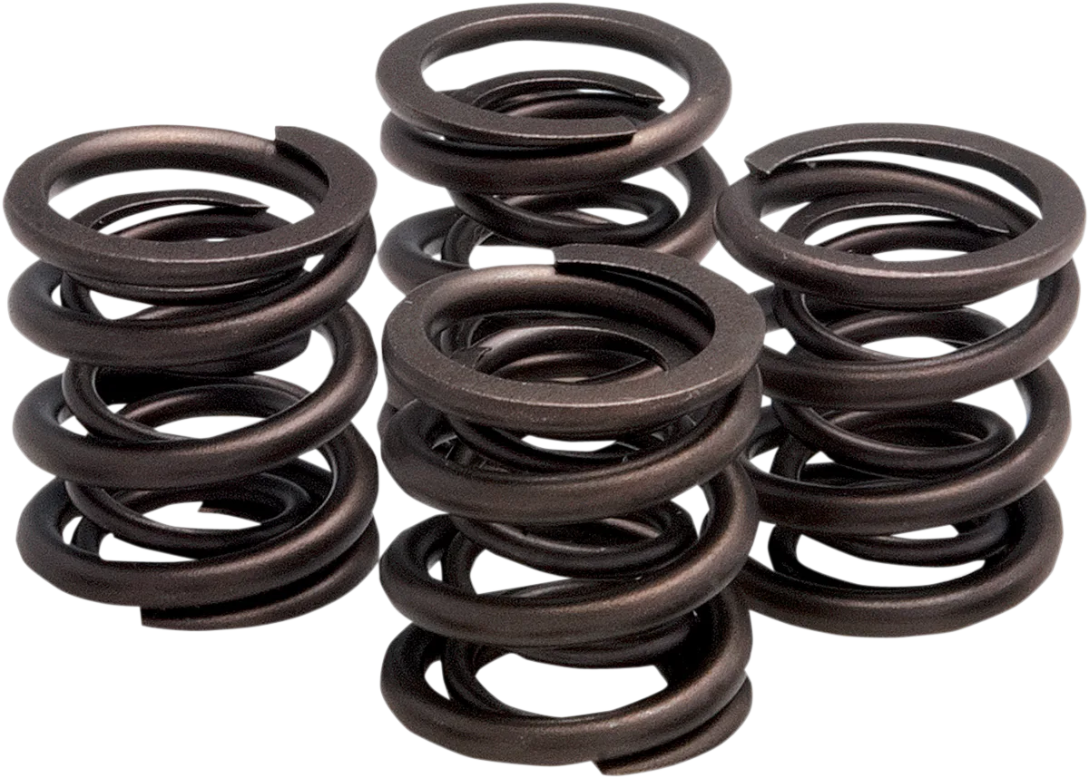 Valve Spring Kit
