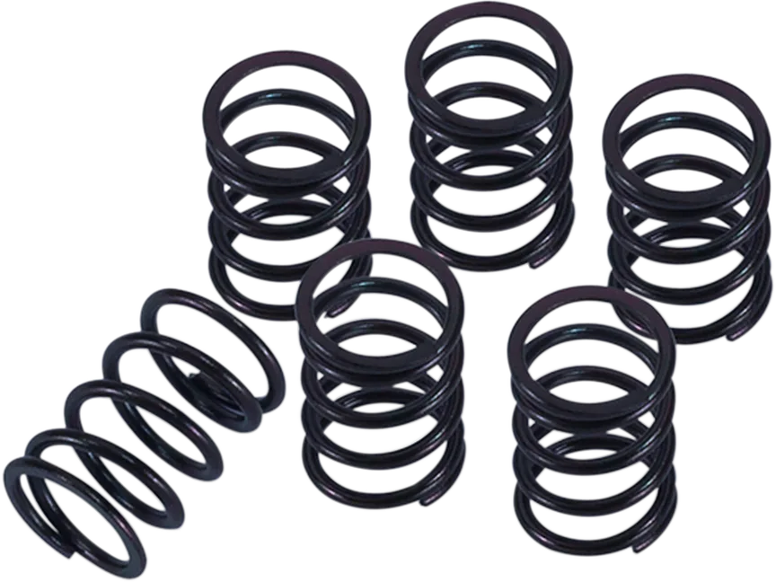 Clutch Spring Kit