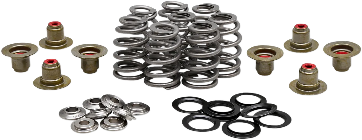 Beehive Valve™ Spring Kit