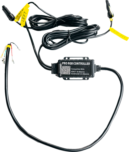 Wire Harness