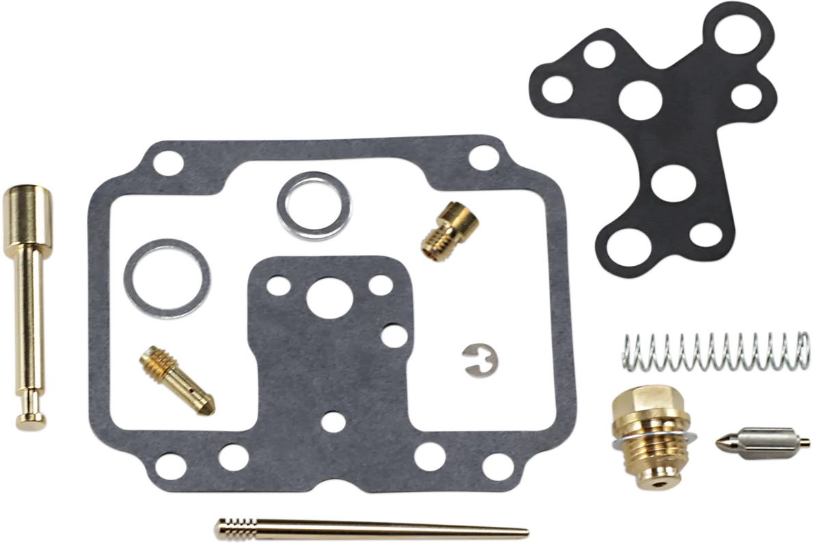 Carburetor Repair Kit