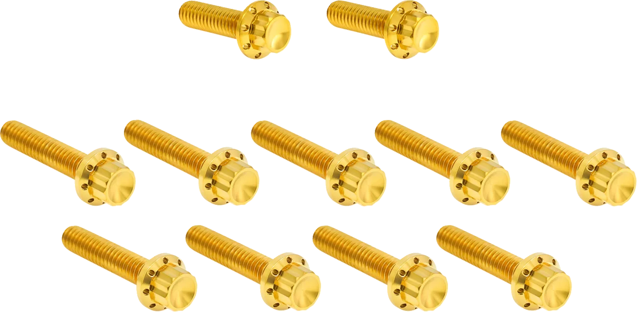 Cam Cover/Point Cover Titanium 12-Point Bolt Kit