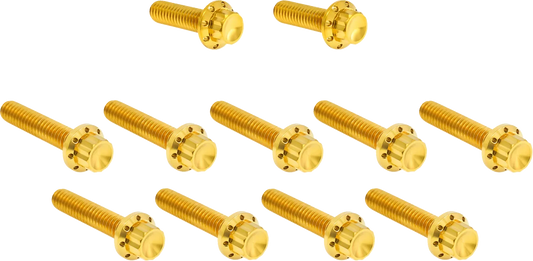 Cam Cover/Point Cover Titanium 12-Point Bolt Kit